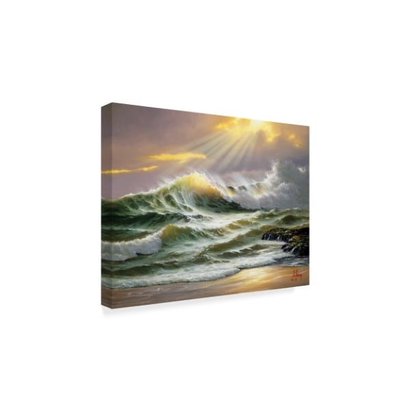 Anthony Casay 'Coast Line 4' Canvas Art,14x19